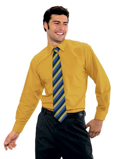camicie uso professionale, camicie uomo e donna per camerieri e reception.